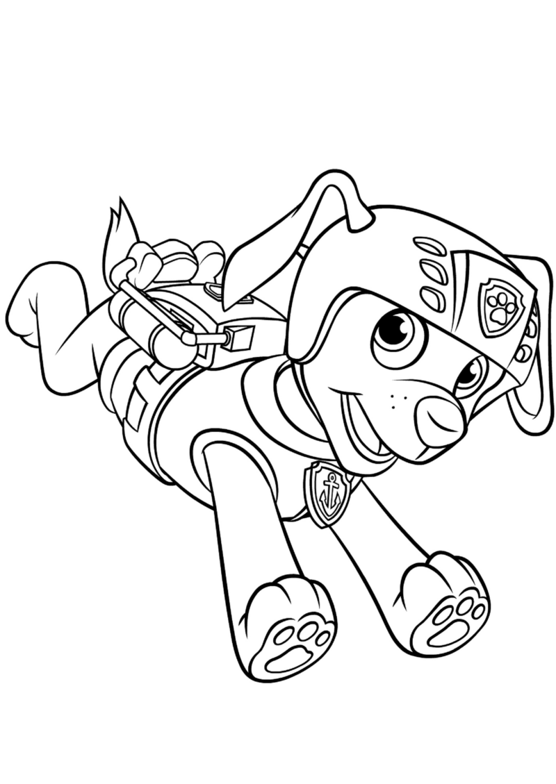 Flygande Zuma målarbild - färgläggning - Paw Patrol