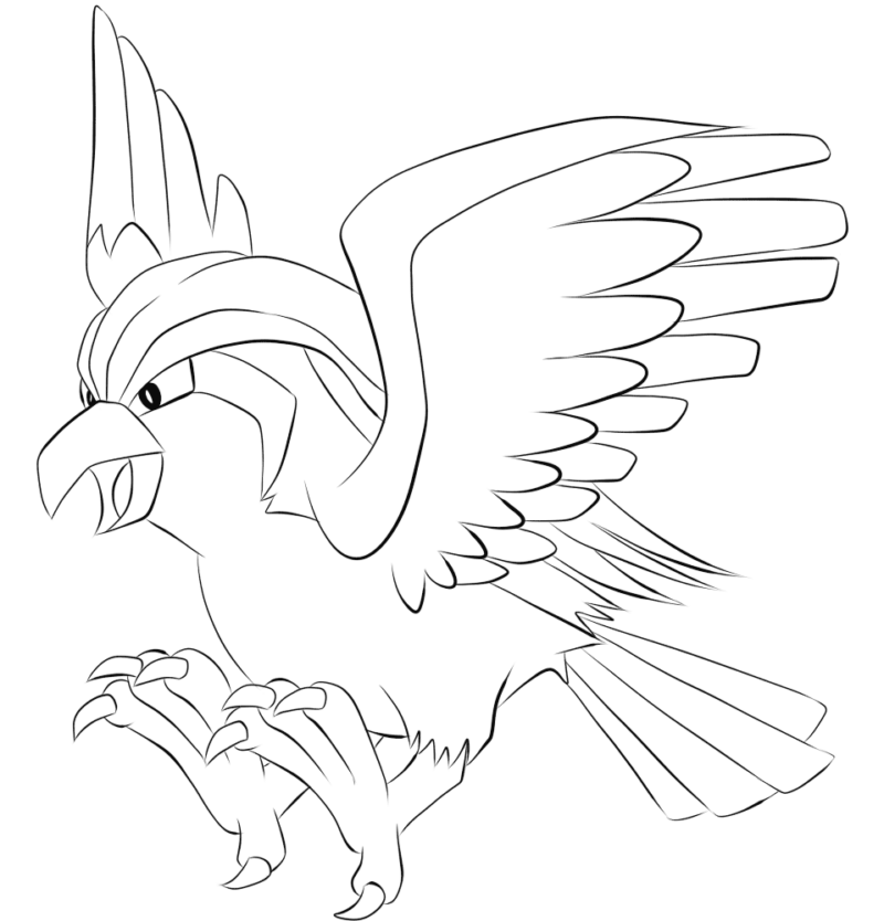 Pidgeotto tegning - farvelægning