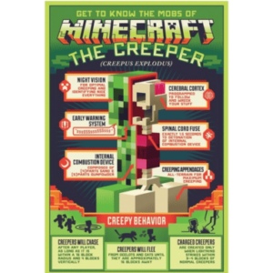 Minecraft affisch med Creeper anatomi - 61 x 91cm